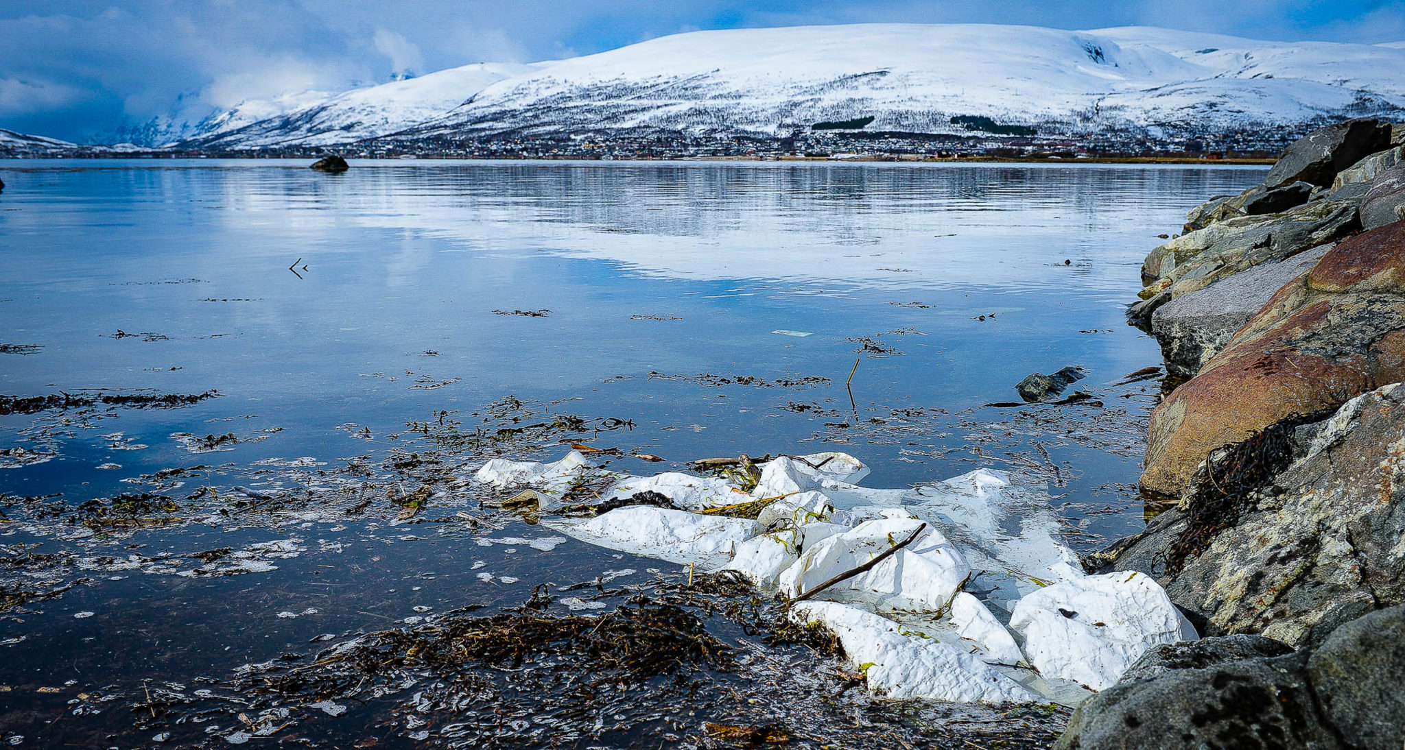 The Arctic Is Under Threat From Plastic Litter Pollution, New Report ...