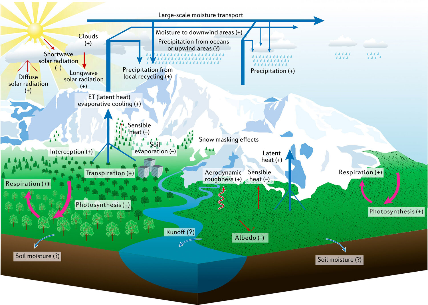 The very same carbon emissions responsible for harmful changes to ...