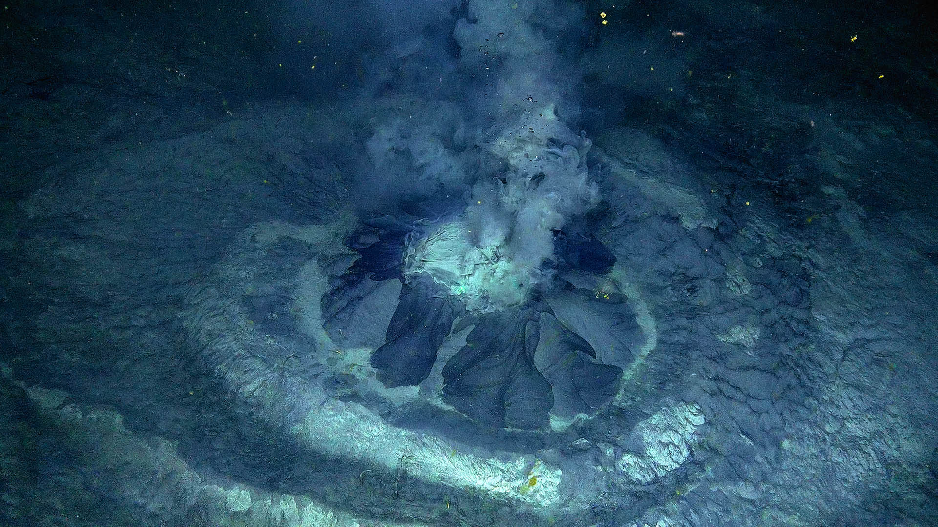 Volcano discovered in Norwegian arctic waters | IceNews - Daily News