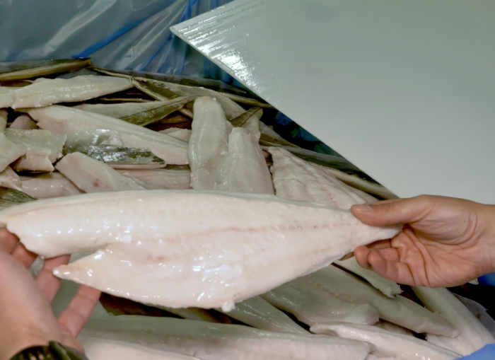 Visionary Solutions for Fillet Production Come from Iceland