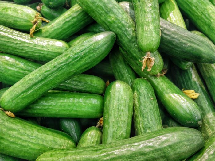 Output of cucumber production in Finland hits new highs